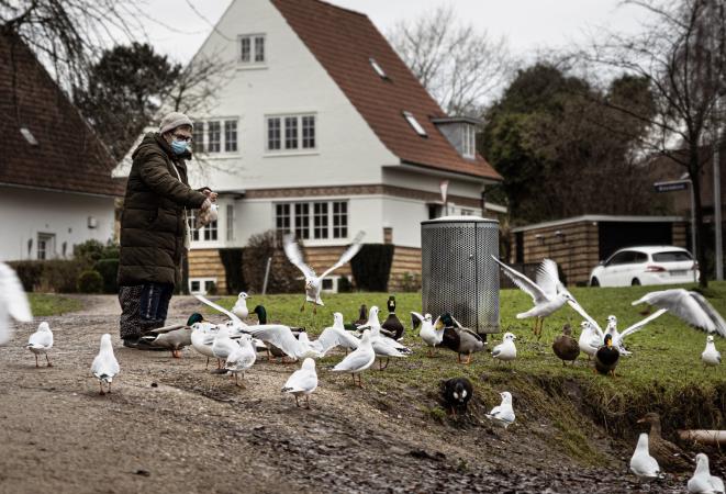 images/140-elderly-woman-feeding-birds.jpg