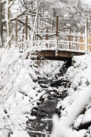 images/141-winter-bridge.jpg