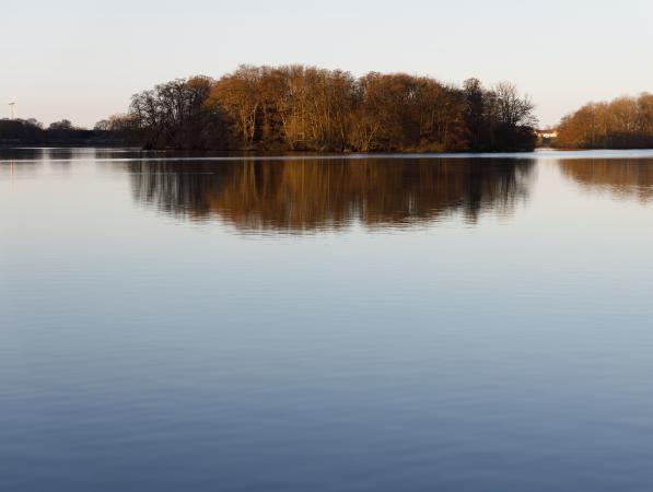 images/220-morning-lake.jpg
