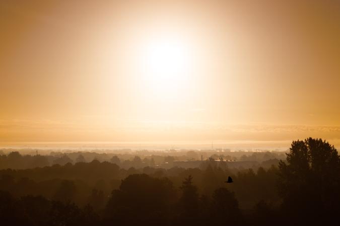 images/233-foggy-sunrise.jpg